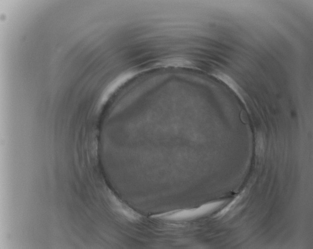 X0000062831115200601271944