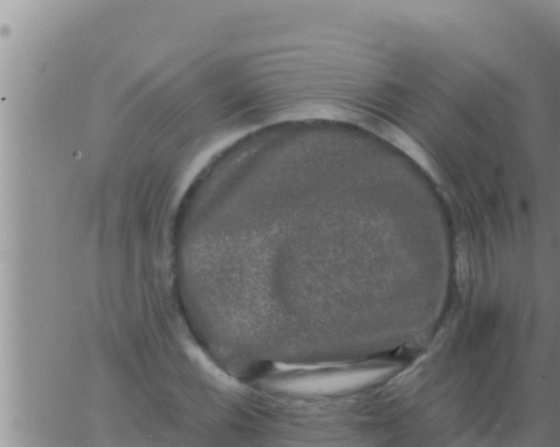 X0000062831116200601271944