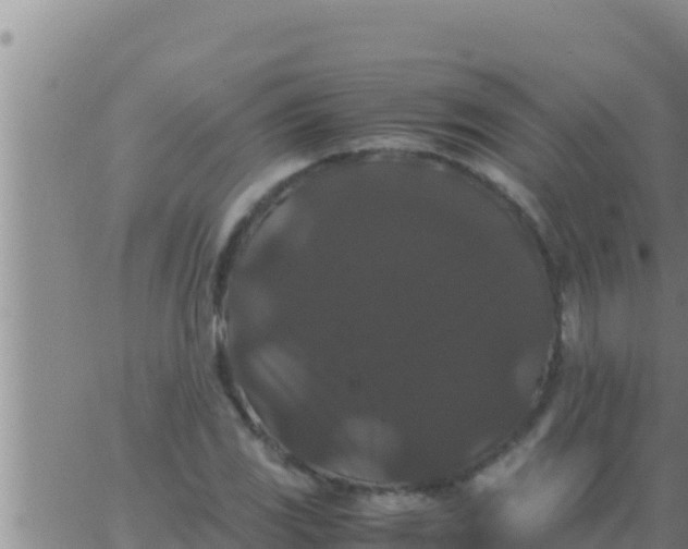 X0000062831117200601271944