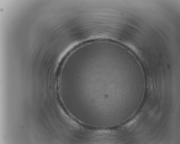 X0000062831118200601271944