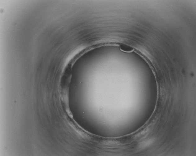 X0000062831119200601271944