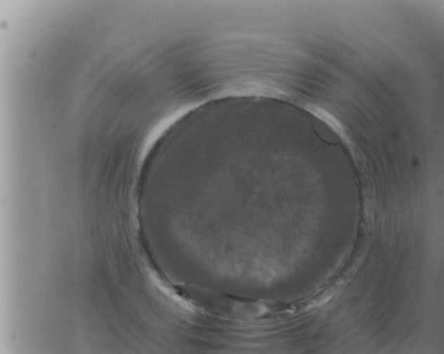 X0000062831120200601271944