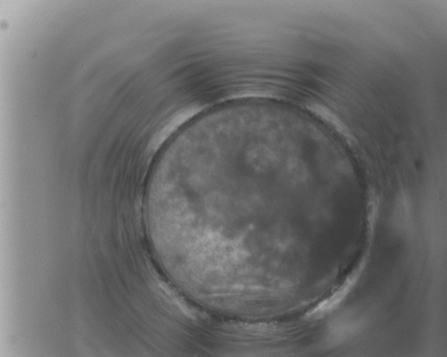 X0000062831121200601271944