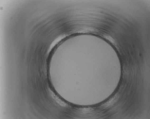 X0000062831122200601271944