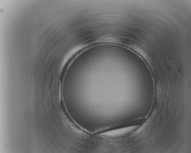 X0000062831123200601271944