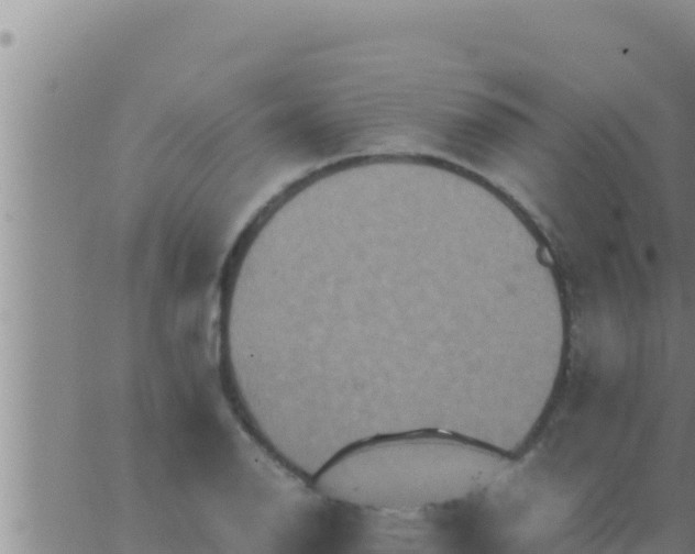 X0000062831126200601271944