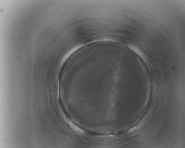 X0000062831127200601271944