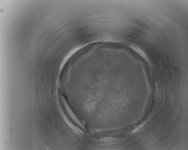 X0000062831128200601271944