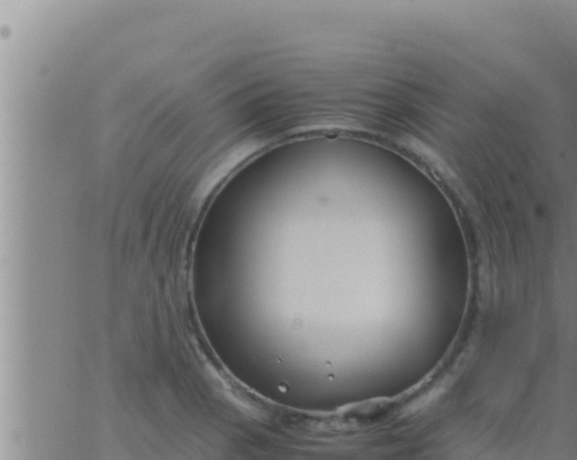 X0000062831129200601271944