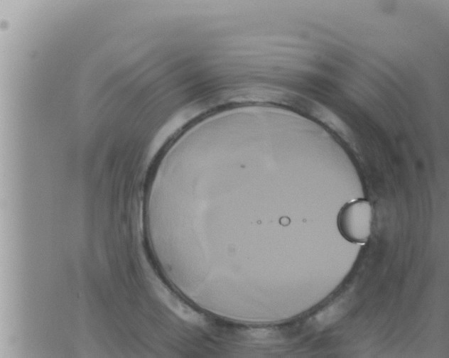 X0000062831130200601271944