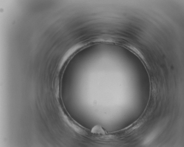 X0000062831131200601271944