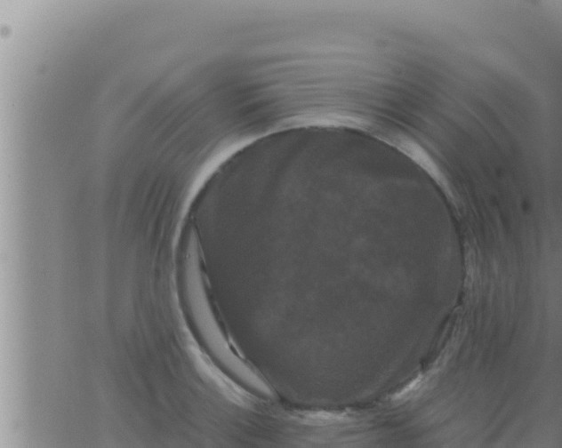 X0000062831132200601271944