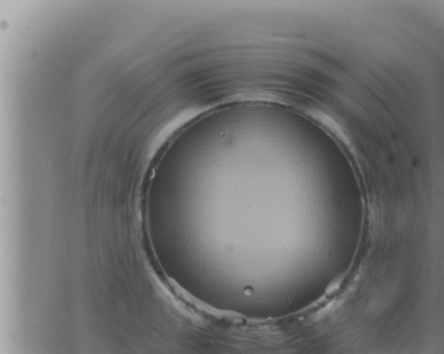 X0000062831133200601271944