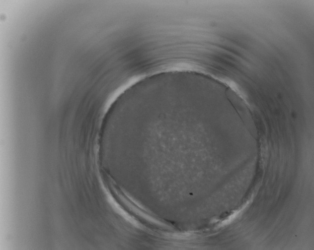 X0000062831134200601271944