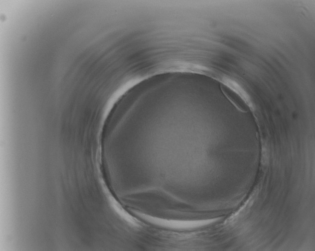 X0000062831136200601271944