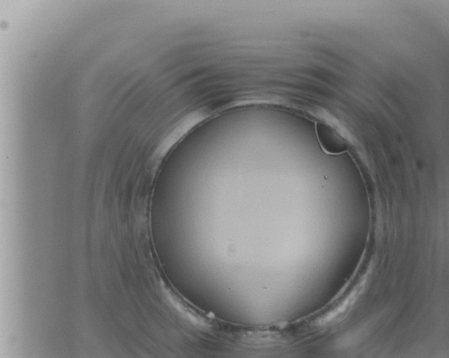 X0000062831137200601271944