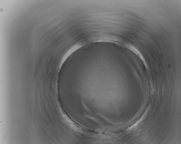 X0000062831138200601271944