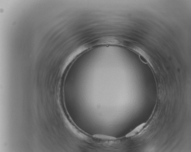 X0000062831139200601271944