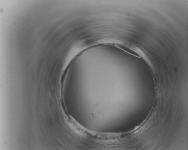 X0000062831140200601271944