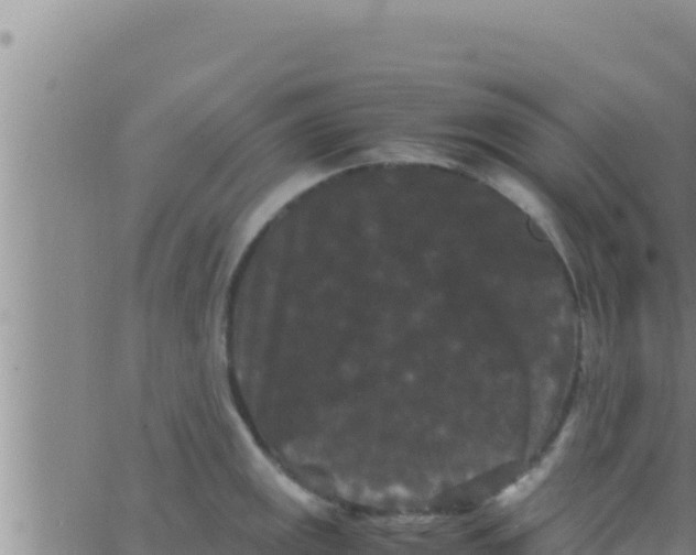 X0000062831141200601271944