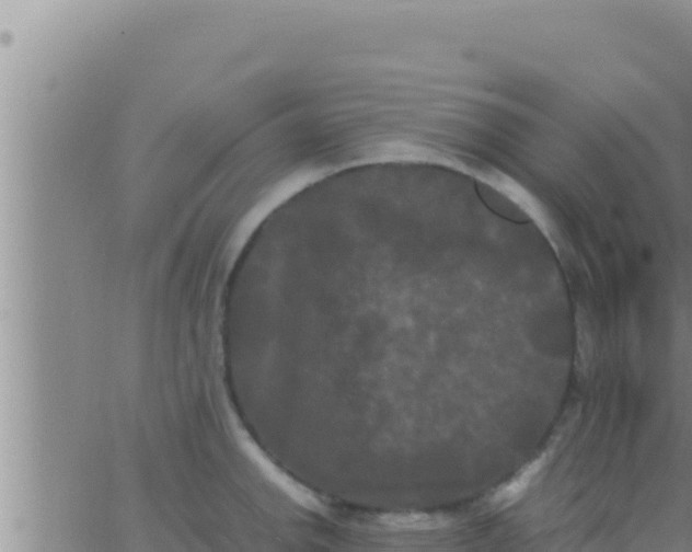 X0000062831142200601271944