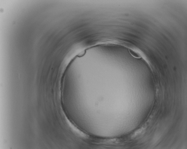 X0000062831143200601271945