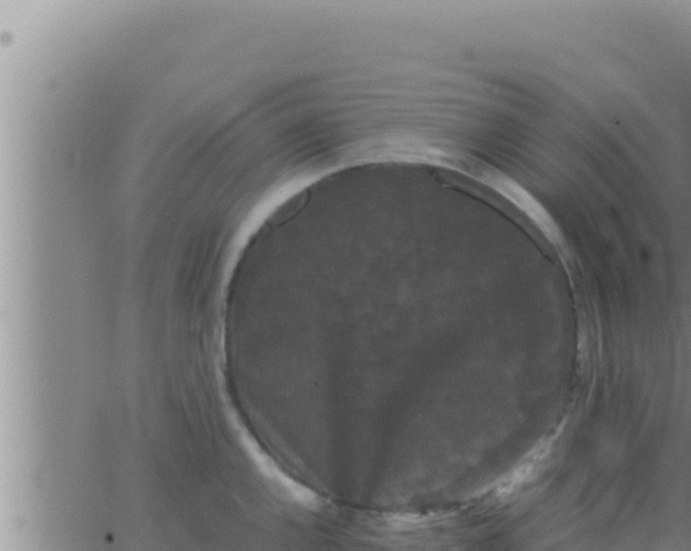 X0000062831144200601271945