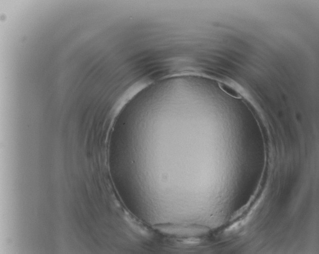 X0000062831145200601271945