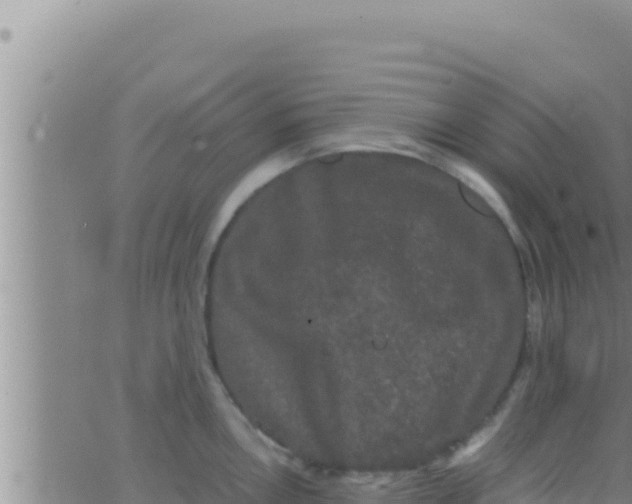 X0000062831146200601271945