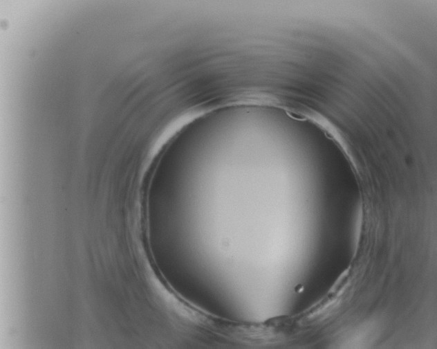 X0000062831147200601271945