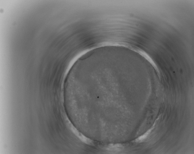 X0000062831148200601271945