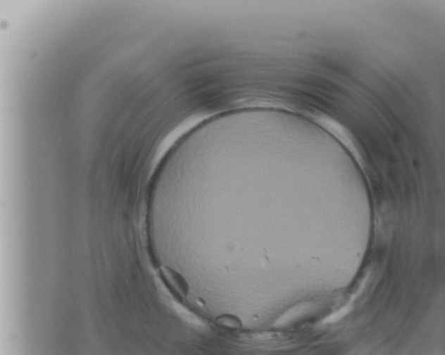 X0000062831149200601271945