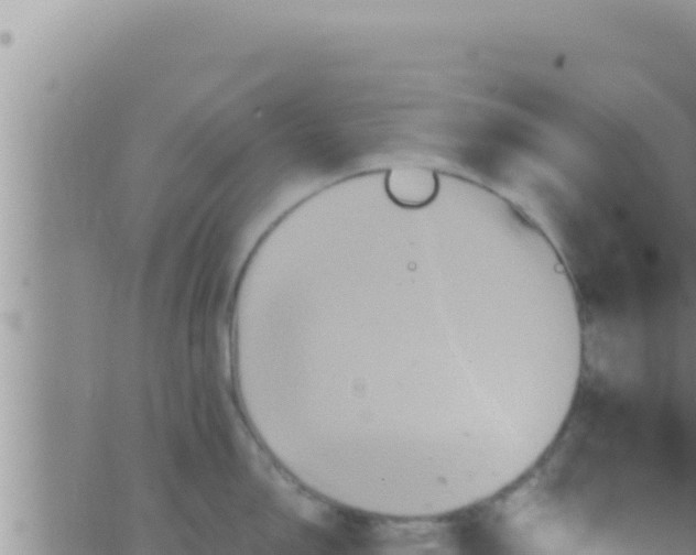 X0000062831150200601271945