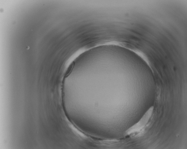 X0000062831151200601271945