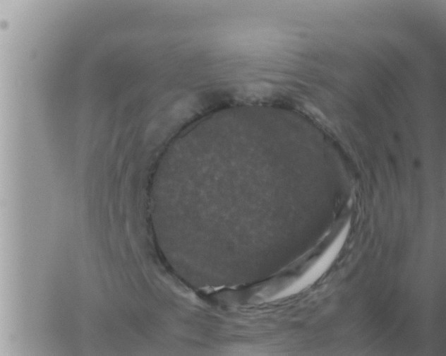 X0000062831153200601271944