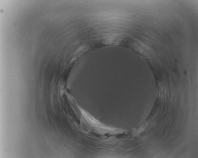 X0000062831154200601271944