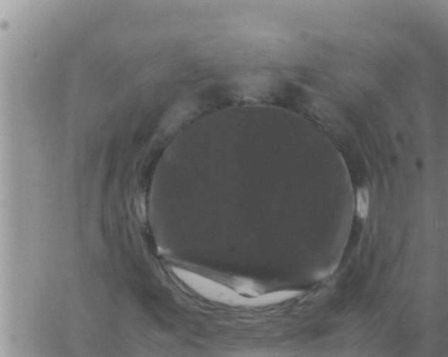 X0000062831155200601271944