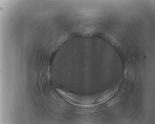 X0000062831156200601271944