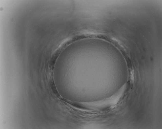 X0000062831157200601271944