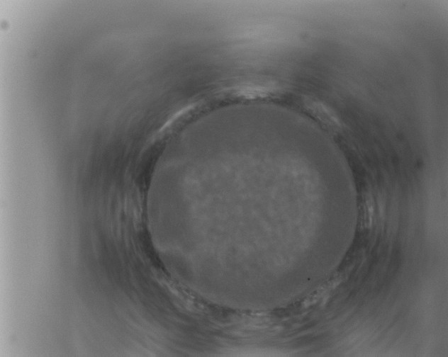 X0000062831158200601271944