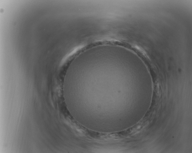 X0000062831159200601271944