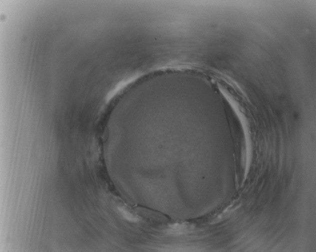 X0000062831160200601271944