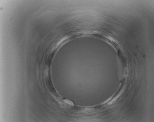 X0000062831161200601271944