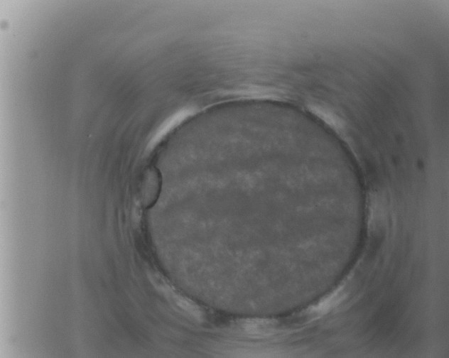 X0000062831163200601271944