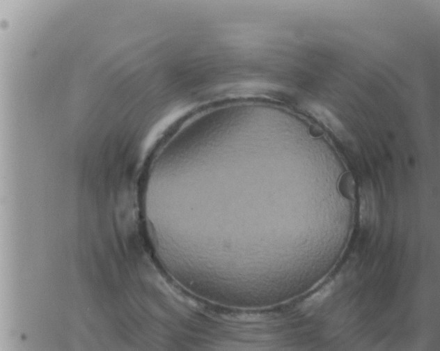 X0000062831164200601271944