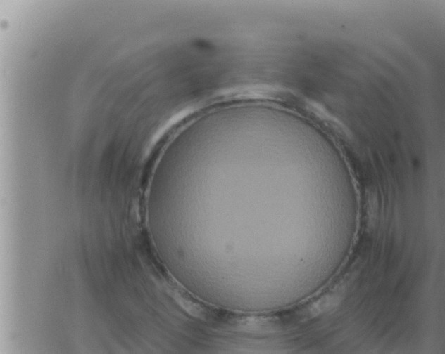 X0000062831166200601271944