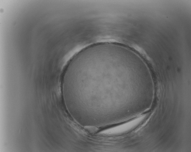 X0000062831167200601271944