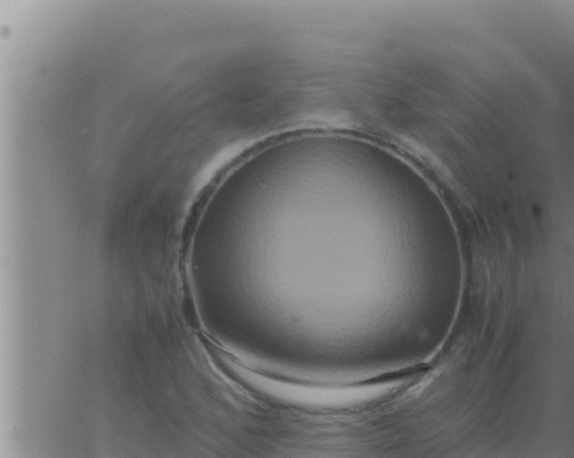 X0000062831168200601271944