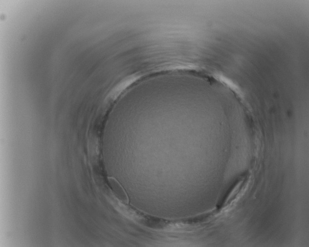 X0000062831169200601271944