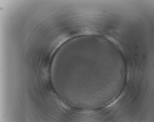 X0000062831170200601271944